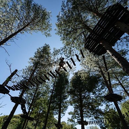 Gooderson Leisure Mountain View Cottages Self Catering And Timeshare Resort 德拉肯斯堡花园 外观 照片